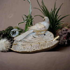 Tava decorativa papagal